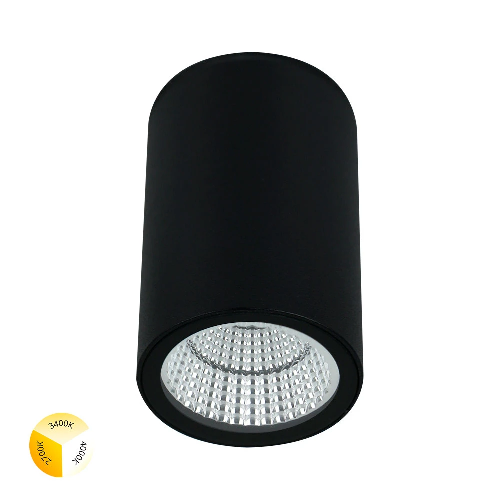 Уличный потолочный светильник Arte Lamp TORCULAR A1307PF-1BK