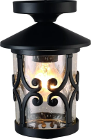 Уличный потолочный светильник Arte Lamp PERSIA A1453PF-1BK