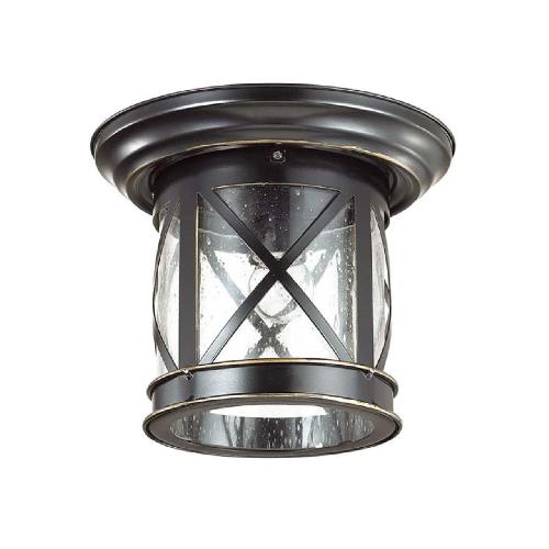 4045/1C NATURE ODL18 751 черный/зол.патина Уличный потолочный светильник IP44 E27 60W 220V SATION
