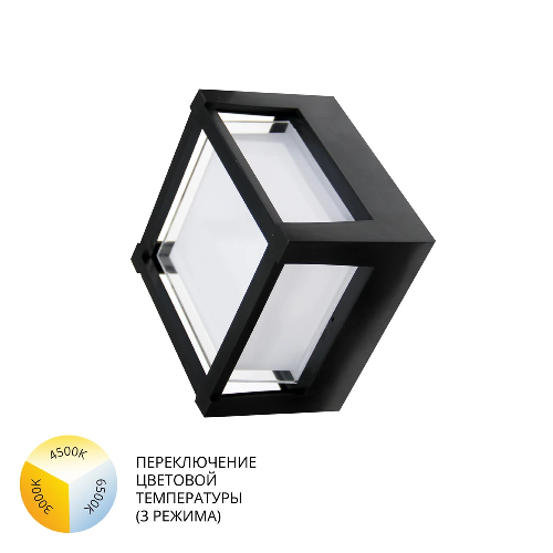 Уличный потолочный светильник Arte Lamp ULYSSES A6406PF-1BK