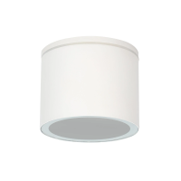 Уличный потолочный светильник Arte Lamp PIAUTOS A1913PF-1WH