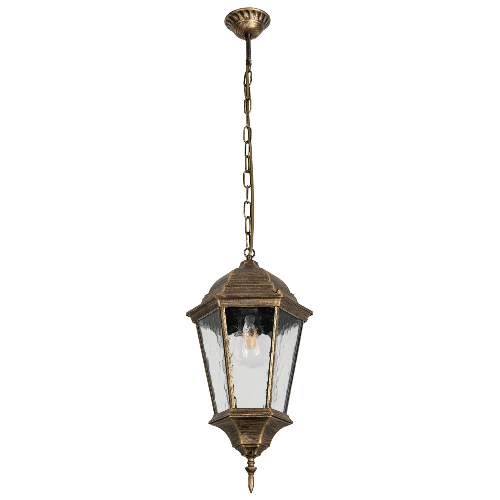 Уличный подвесной светильник Arte Lamp GENOVA A1204SO-1BN
