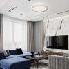 Потолочный cветильник LED4U L3020-500 CR